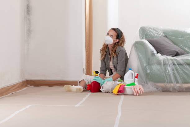 Reliable Mold Cleanup contractor in Sparta, TN by Cheap Mold Removal